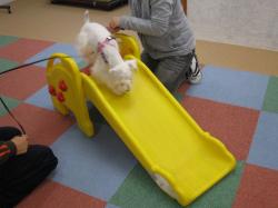 img_2441.JPG