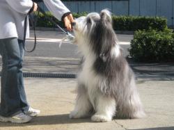 img_9738.JPG