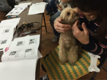 t02200165_0480036013487539969