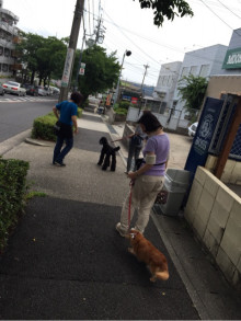 t02200294_0480064113343010270