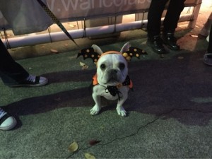 o0480036013469635807