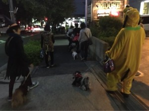 o0480036013469635903