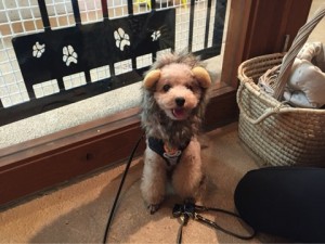 o0480036013469635910