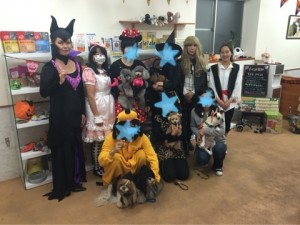 o0480036013469647509