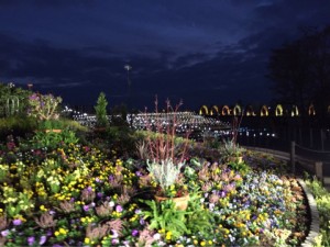 o0480036013802008466