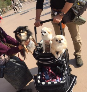 o0480050713803341846