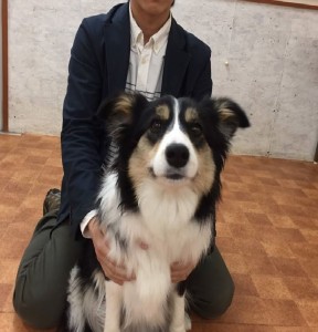 17310003_1174736132635069_1885197465879354022_o - コピー