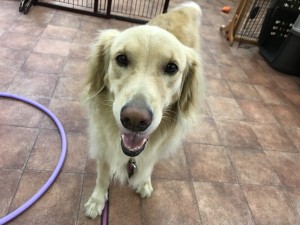 写真 2017-09-05 11 03 04