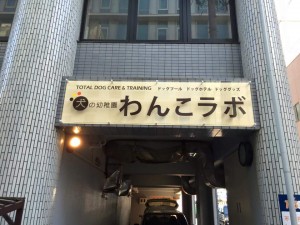 FB_IMG_1427702251988