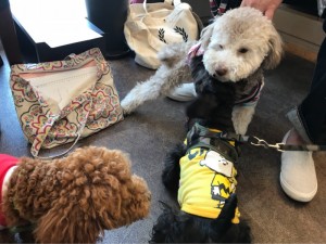 o1080081014195175080