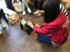 o1080081014195175087