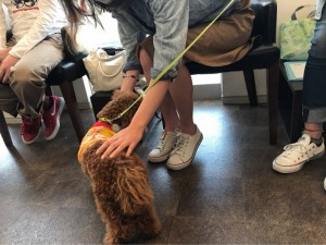 o1080081014195175096