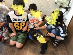 o1080081014195175101