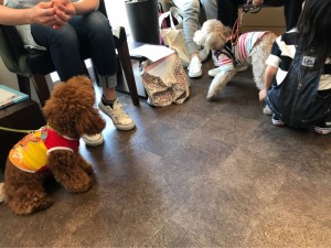 o1080081014195175112