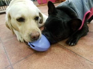 20180428_112608-403x302