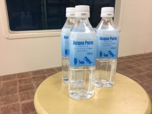 写真 2018-06-27 14 57 08