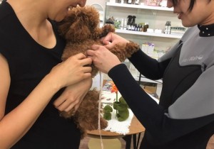 写真 2018-07-12 10 50 58