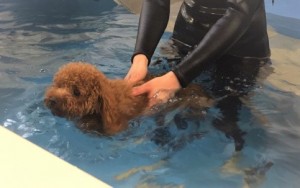 写真 2018-07-12 10 56 33