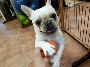 20180806_144710-806x605