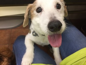 写真 2018-08-04 11 11 52